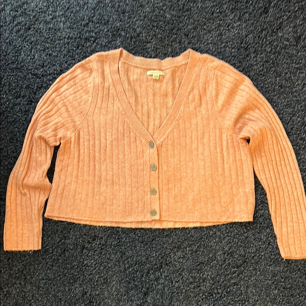AE Pale Pink Button-Up Women's Sweater